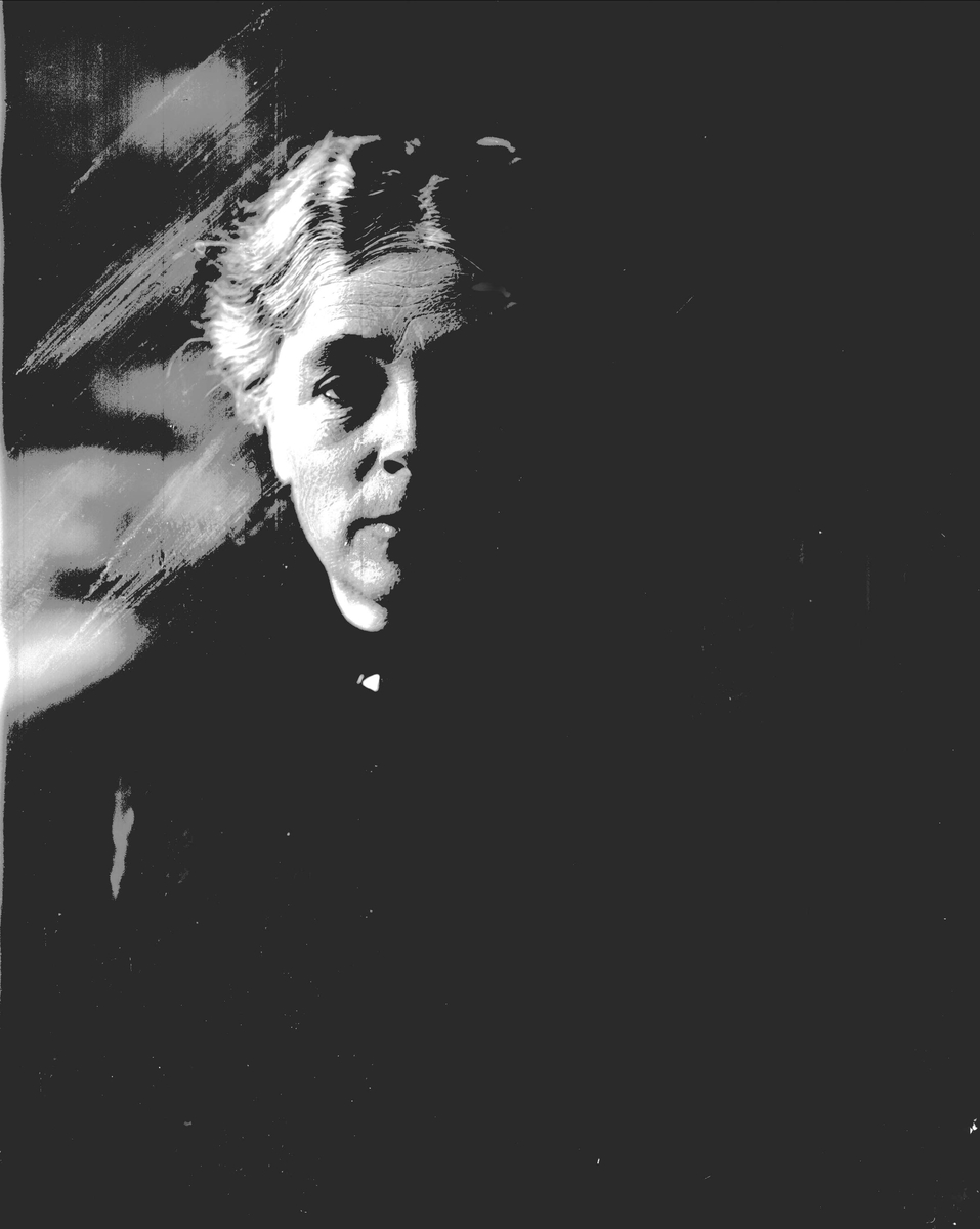Gustav Borgen, NFB.13029