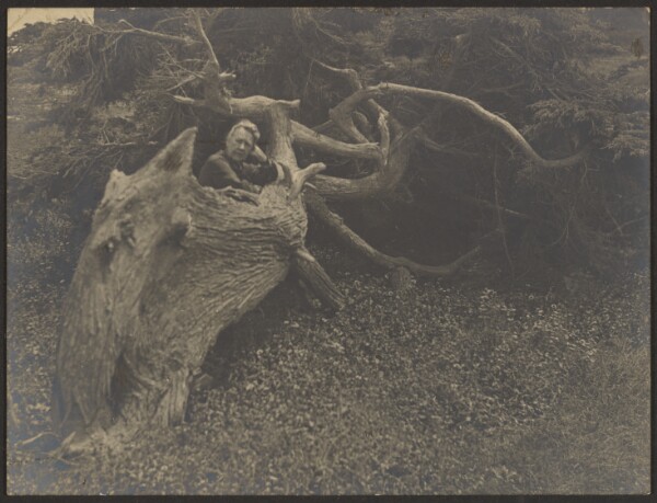 Louis Fleckenstein, [Mrs. Fleckenstein Leaning on Large Fallen Tree]