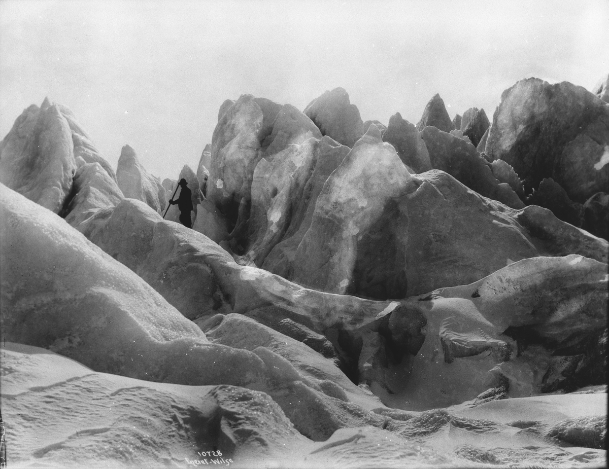 Anders Beer Wilse, Prot: Hardangerjøklen 1909