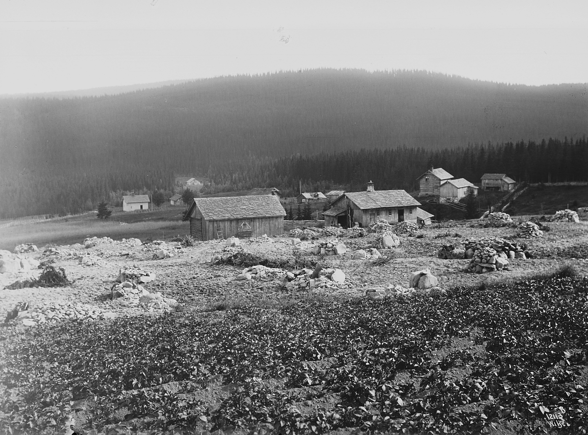 Anders Beer Wilse, Konv: Wulfsberg panor. 4