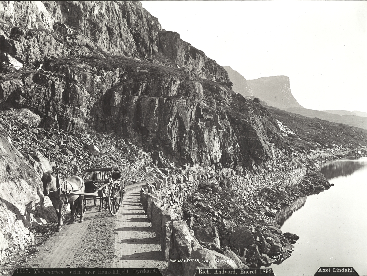 Axel Lindahl, "Prot: Veien over Haukelifjeld Dyreskaret