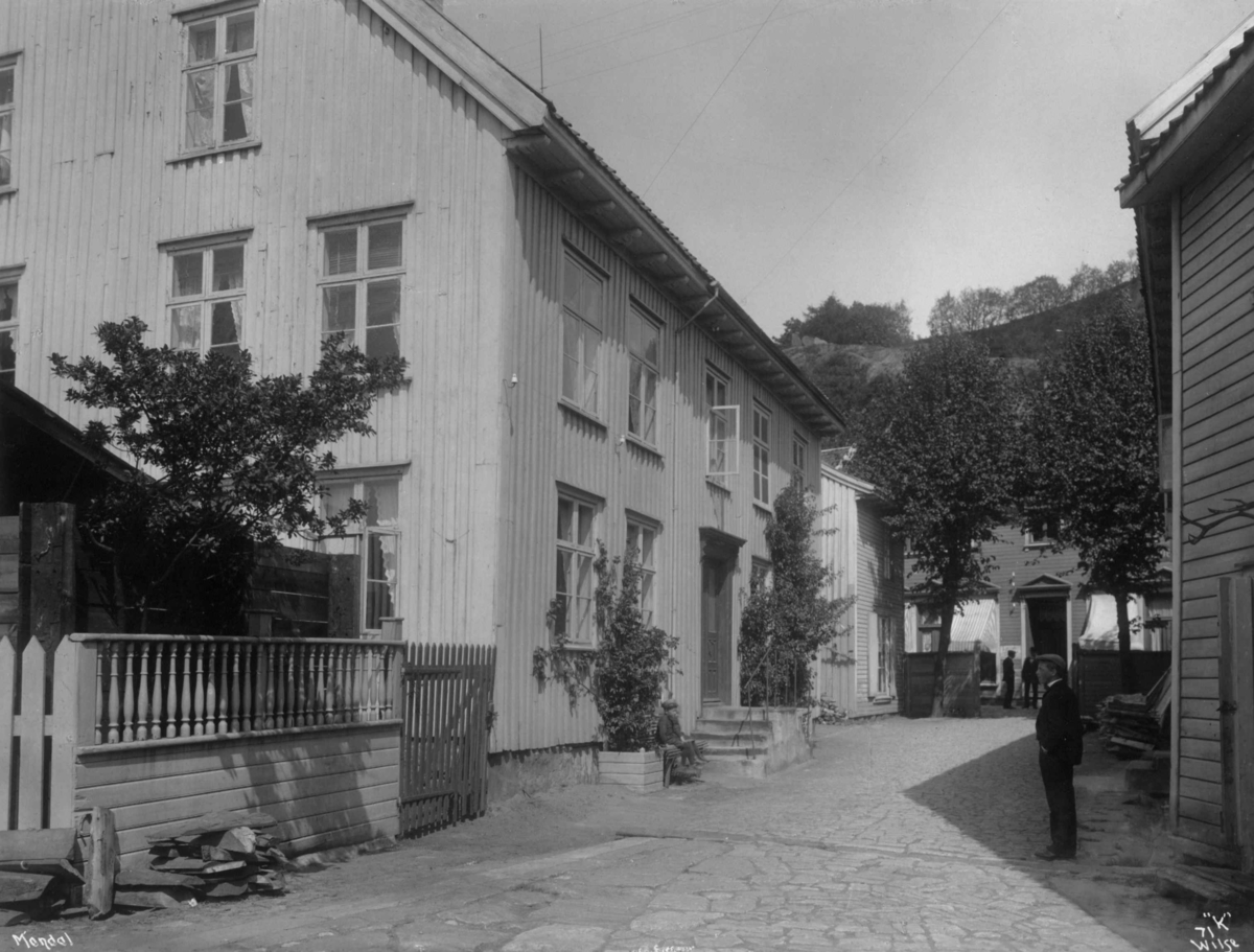 Anders Beer Wilse, Mandal 1