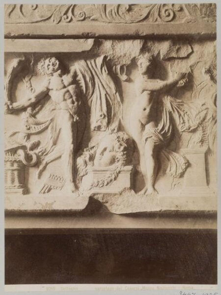 unknown, Photograph