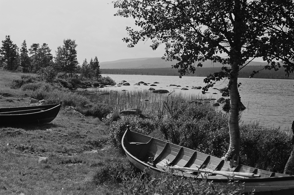 Anders Beer Wilse, Prot: Galtensjöen