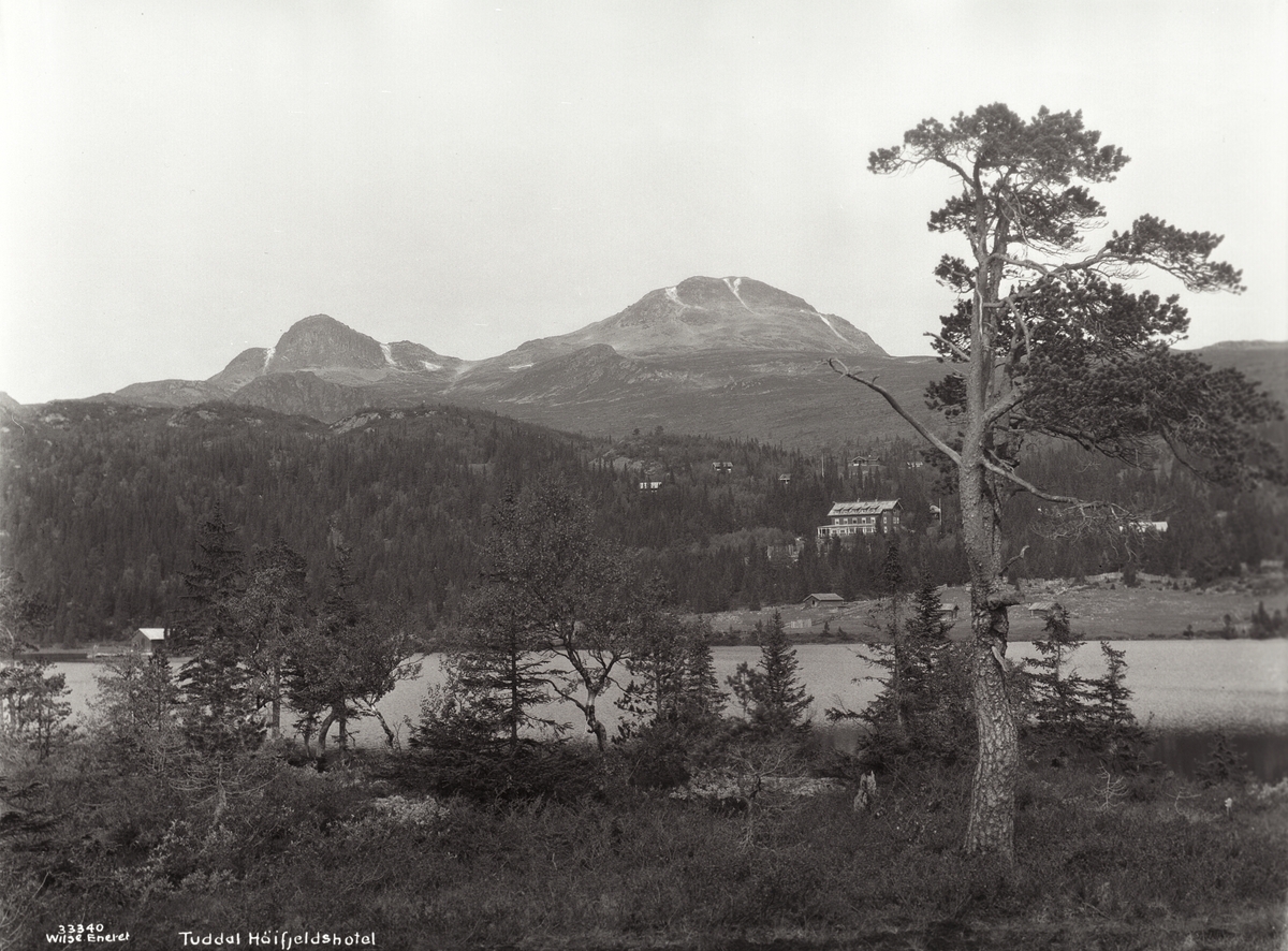 Anders Beer Wilse, Prot: Telemark - Tuddal høifjeldshotel