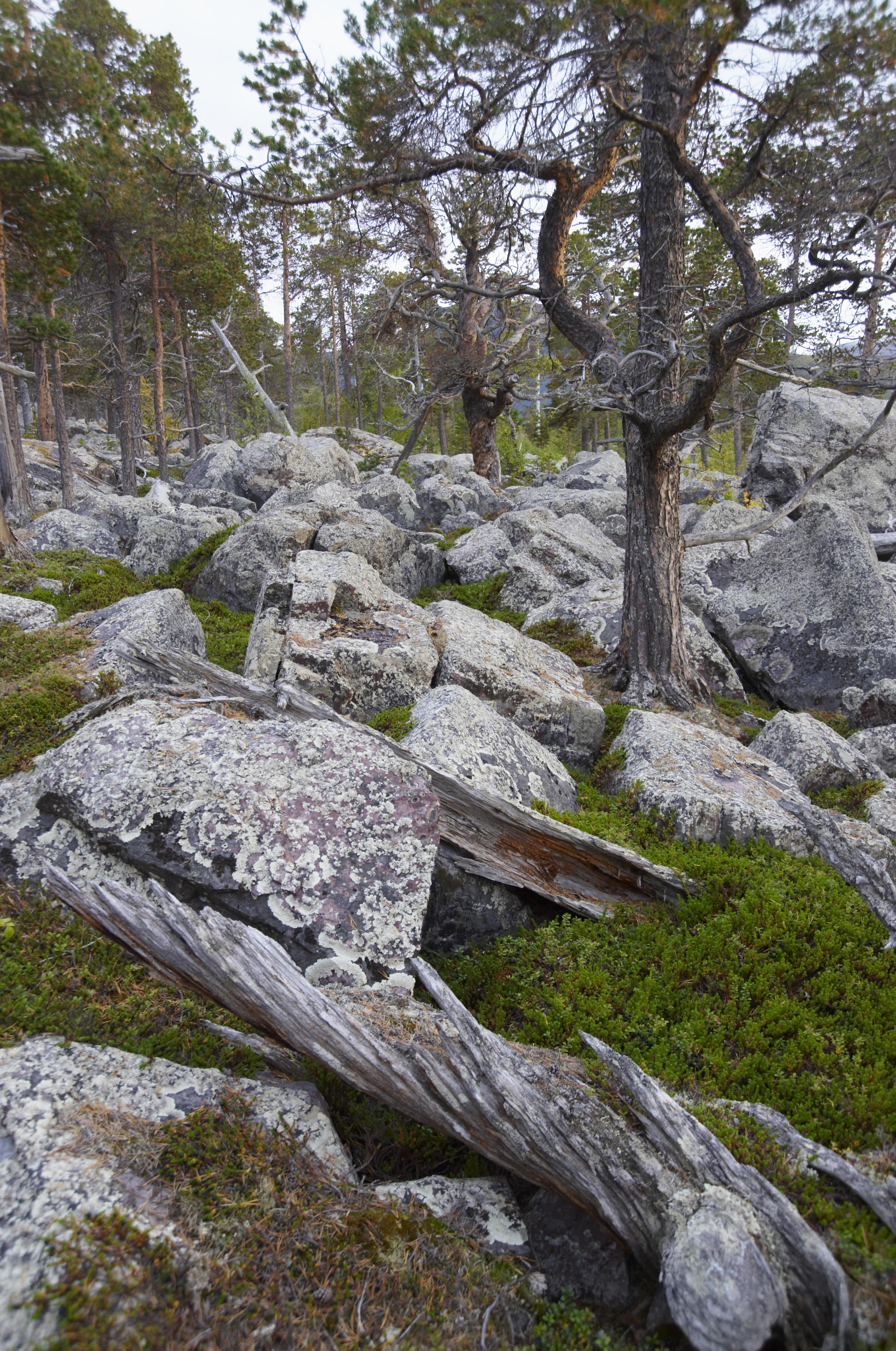 Bengt A Lundberg, Vietas