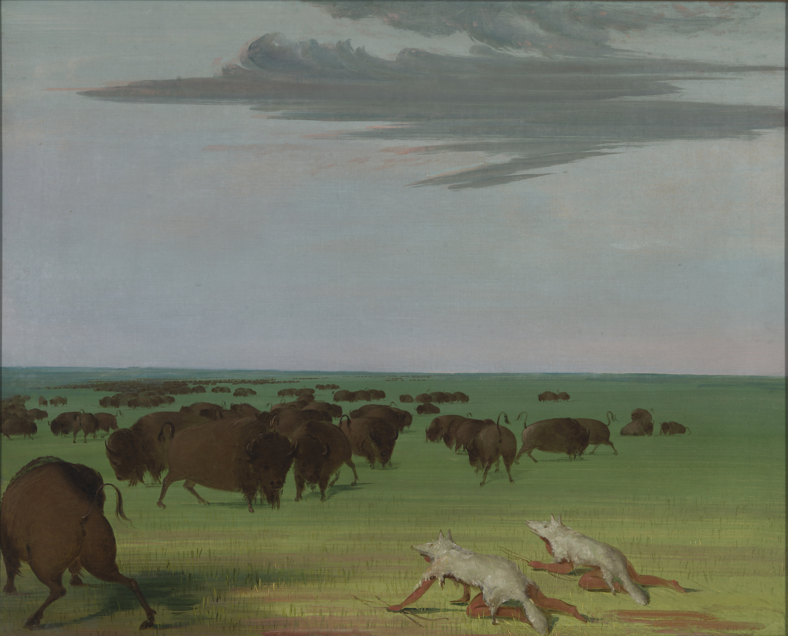 George Catlin, Buffalo Hunt under the Wolf-skin Mask