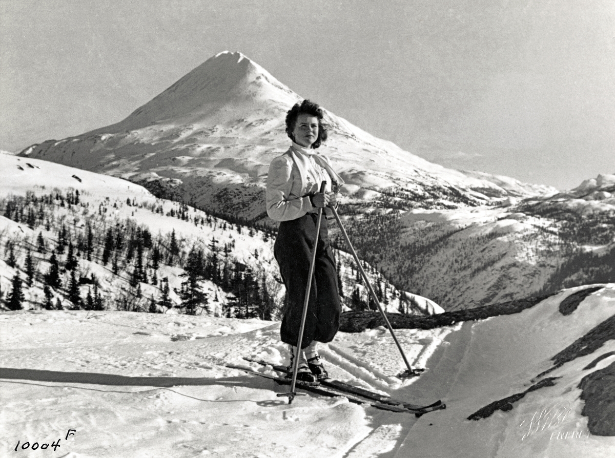 Anders Beer Wilse, Prot: Gausta med skipike