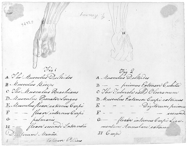 Benjamin West, Anotomaical Description of the Hand and the Wrist