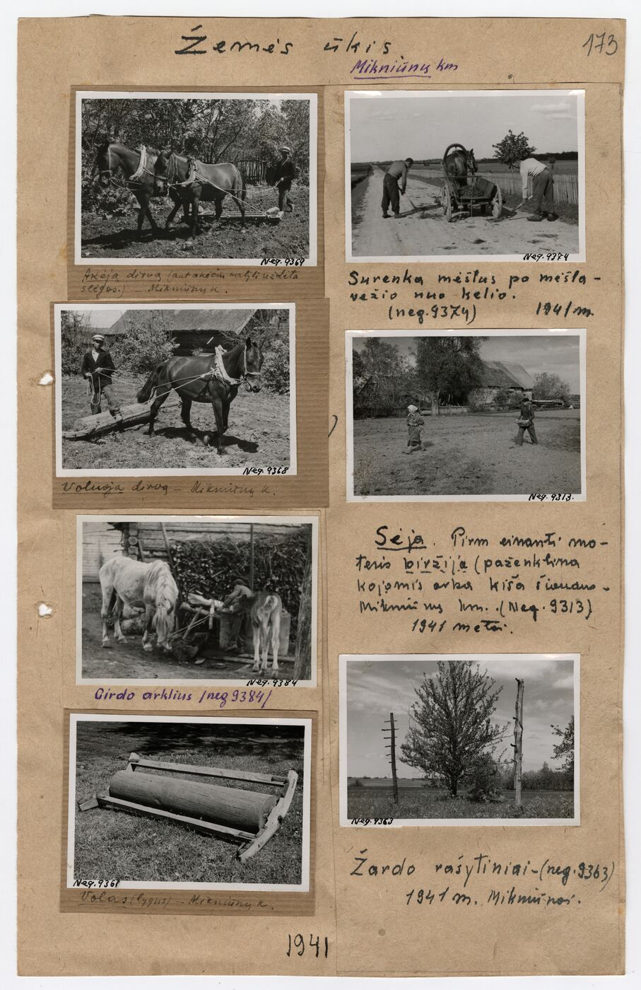 Nežinomas autorius, Archyvinės bylos Nr. 84 lapas 215. Šiaulių apskr., Pašvitinio vlsč., Mikniūnų kaimo žemės ūkio fotografijos