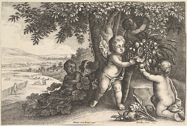 Wenceslaus Hollar, Earth