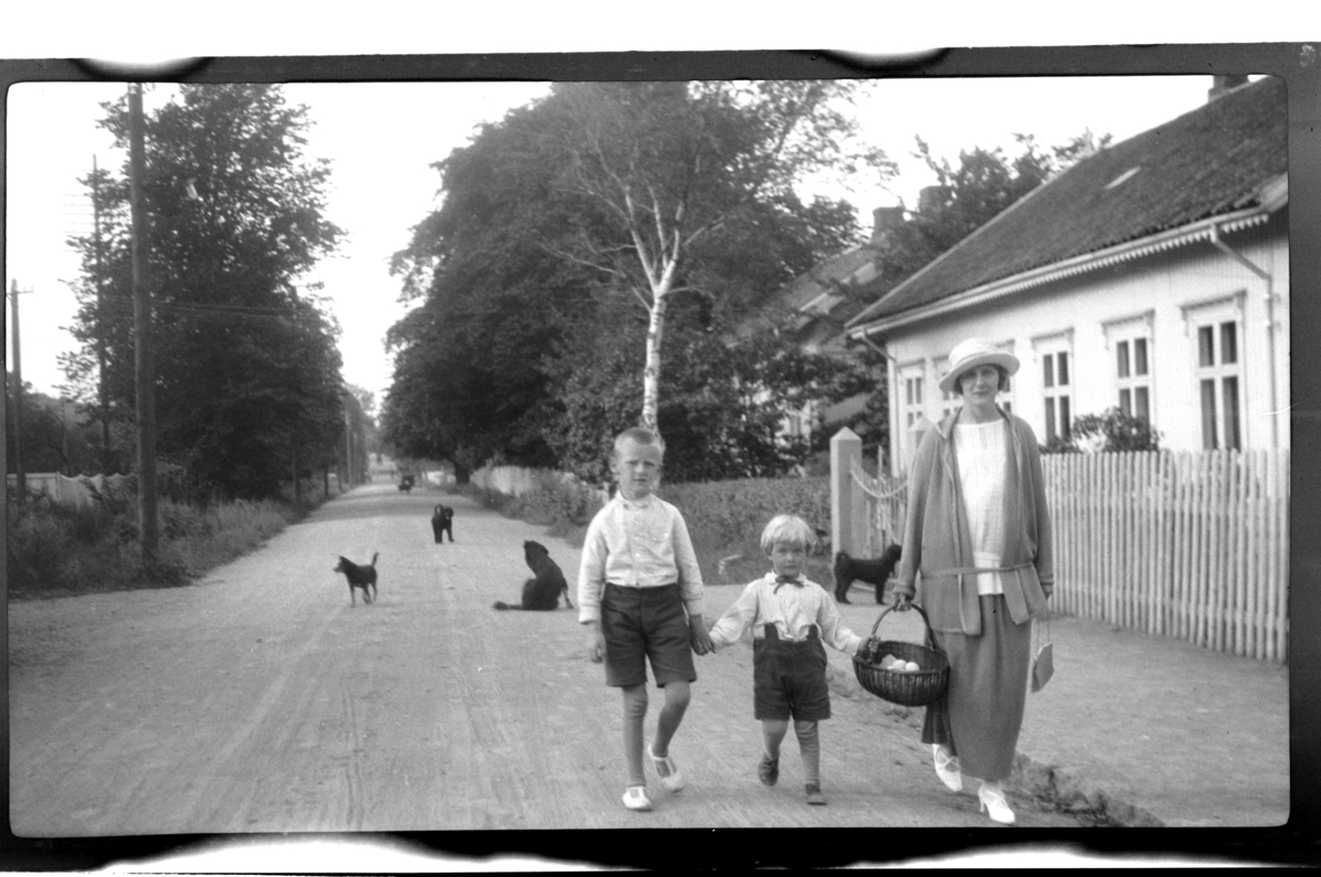 Rolf Sr. Sundt, NF.34664-540
