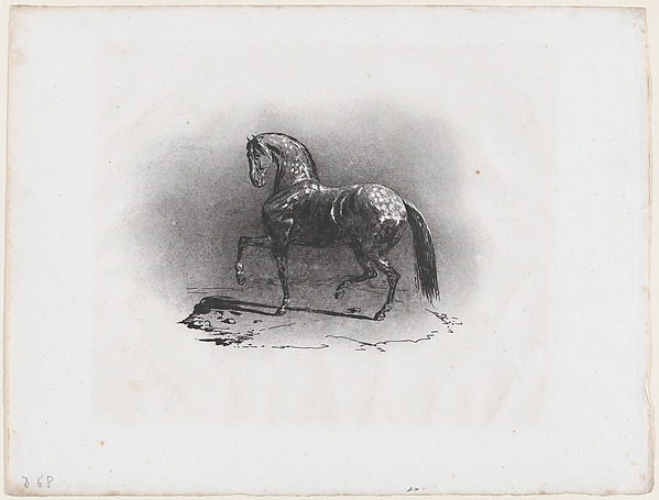 Théodore Géricault, Dappled Horse