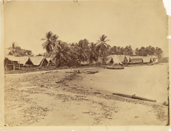 Timothy H. O'Sullivan, [Huts, Palm Trees and Beach, Itshumus of Darién (Panama)]