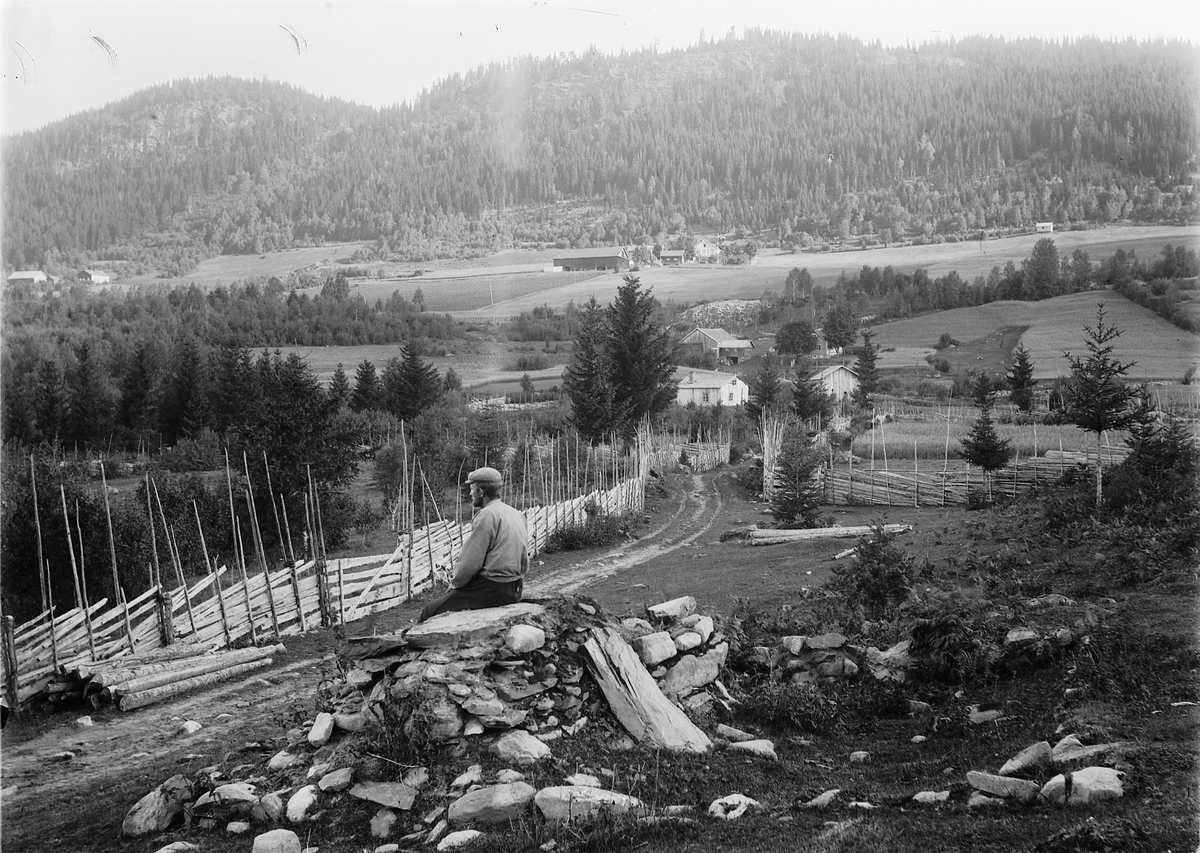 Kristoffer Horne, GARDER PÅ RING, Ringsaker, KULTURLANDSKAP. Vegen til Hulleberg, Velt-Ambli i bakgrunnen. Fotografen har stått med ryggen til Hulleberg. Garden helt til venstre i bildet, under Amlisberget ble kalt Jakob-Amli. Midt i bildet er Steinsvea, Steinsrud bakenfor og Amli lille nærmest berget. Amli lille er…