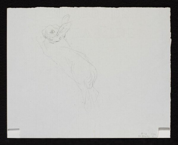 Potter, Beatrix, drawing