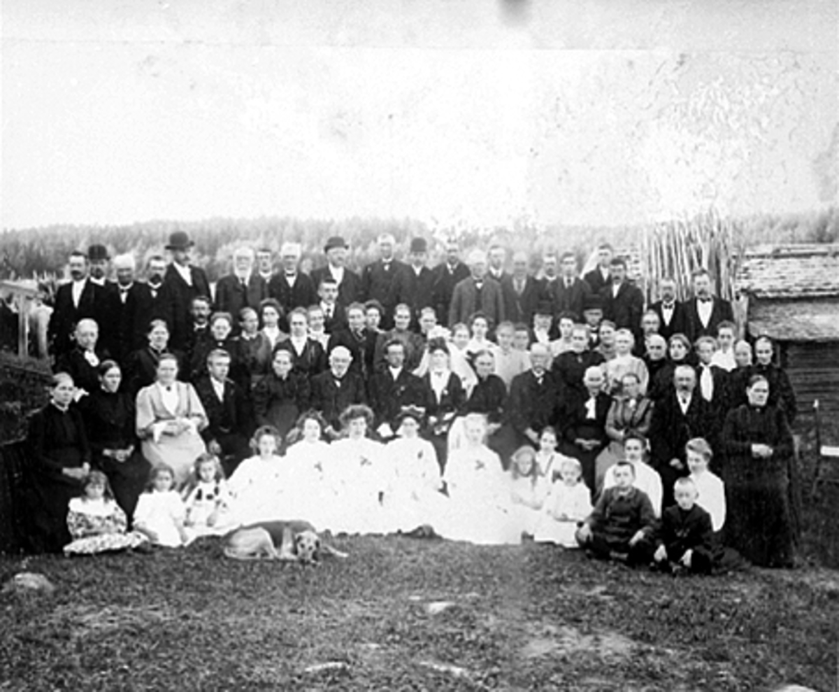 Anno Domkirkeodden, FILSET GARD, BRYLLUP, STOR FAMILIEGRUPPE, BRUDEPAR: ELI HARILDSTAD FØDT FILSETH OG LÆRER OG KLOKKER ANDERS HARILDSTAD.