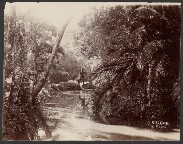Unknown, Bellair Creek