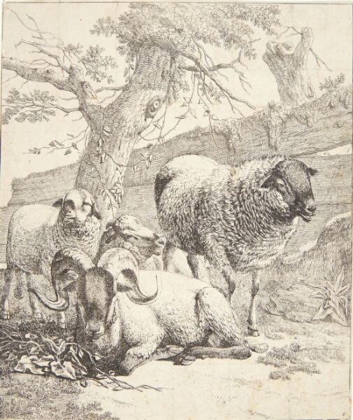 Johann Heinrich Roos, Liggende vædder mellem stående får. I baggrunden et raftehegn