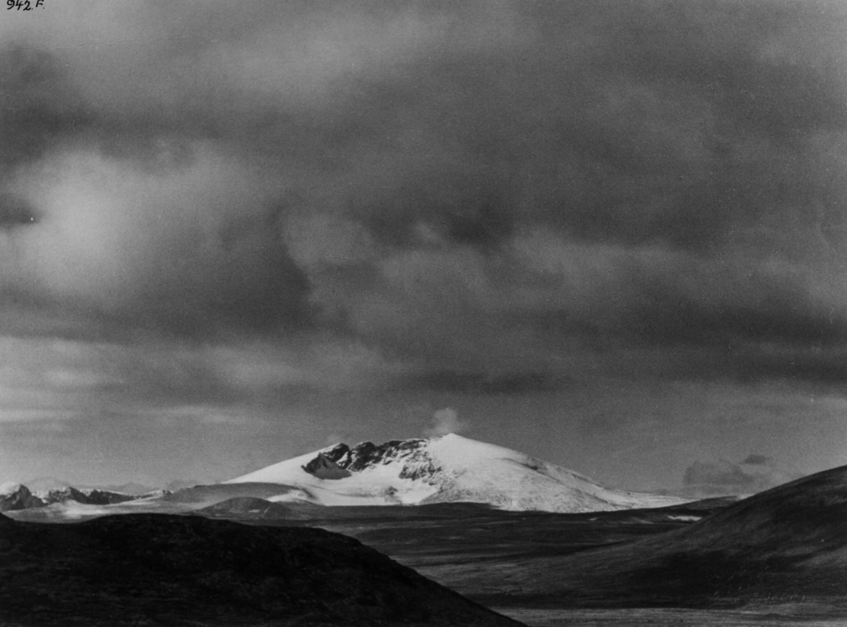 Anders Beer Wilse, Dovrefjell, Snohetta