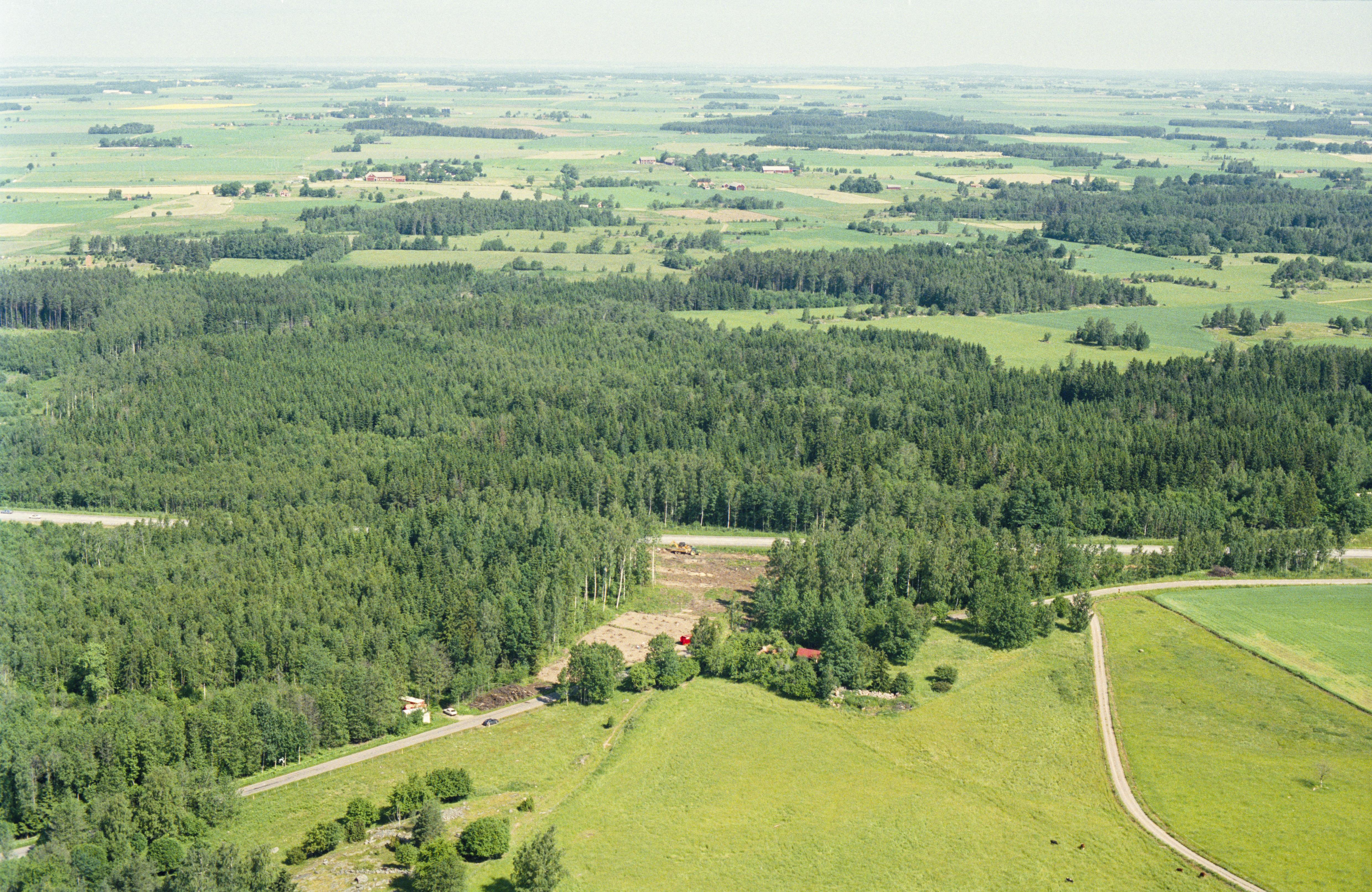 Jan Norrman, Rinna 215:1