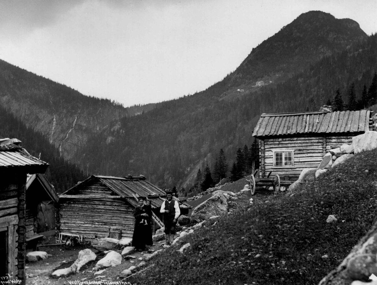Anders Beer Wilse, Jordbruk, gård, Vestfjorddalen.