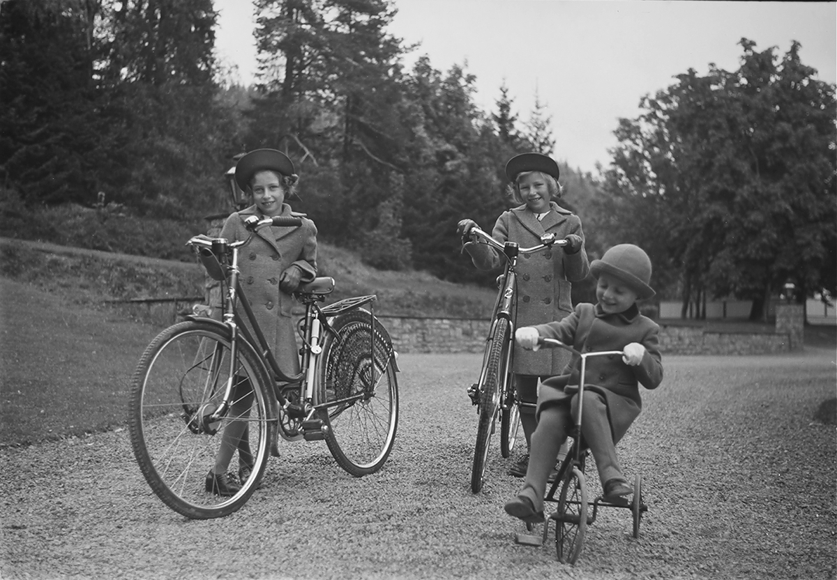 Anders Beer Wilse, Prot: Paa Cykler alle tre O.Hustr Ja