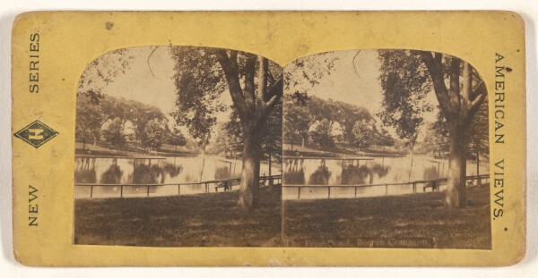 Unknown, The Frog Pond. Boston Common.