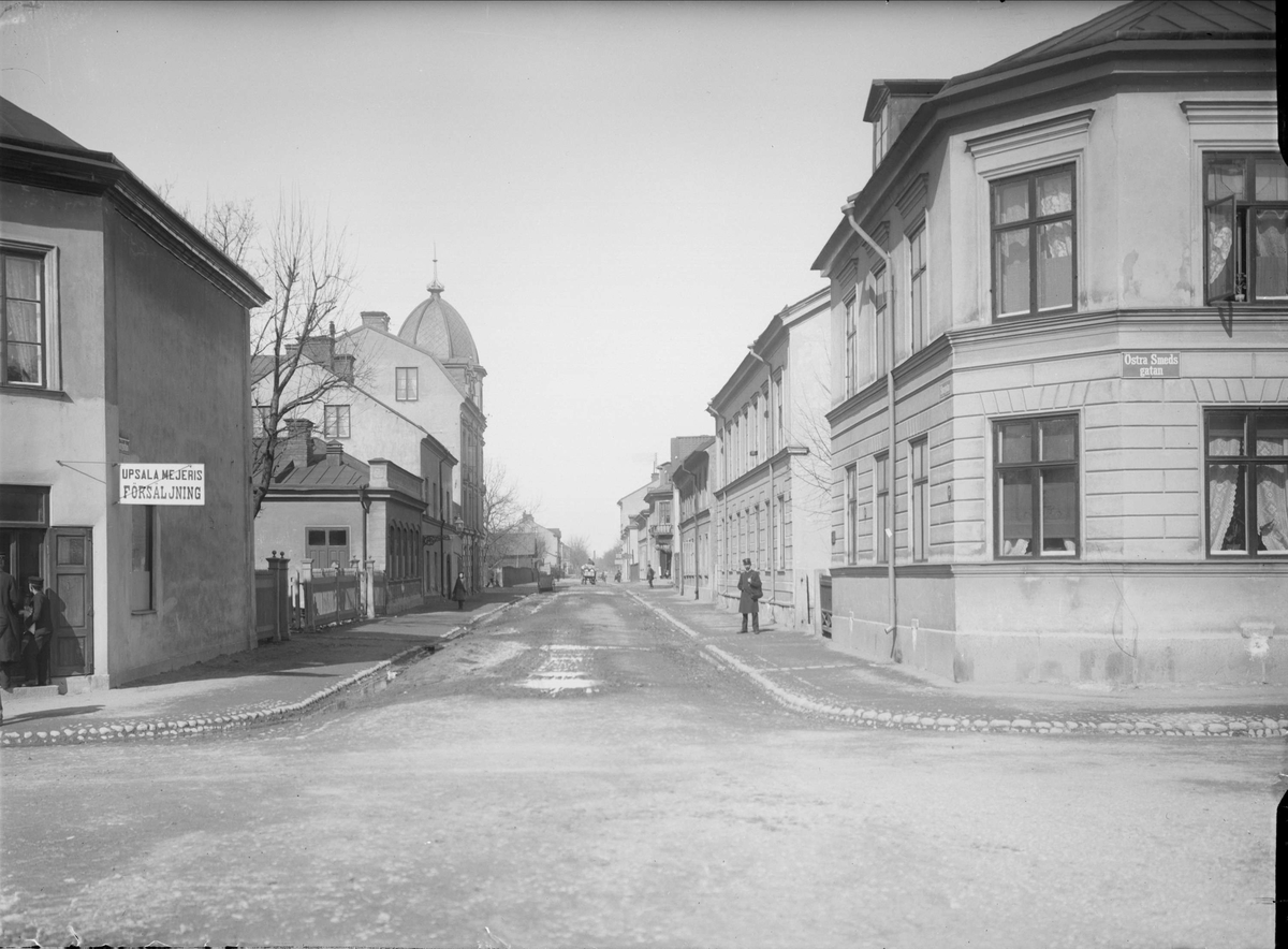 Alfred Dahlgren, Storgatan - Roslagsgatan, Uppsala 1901 - 1902