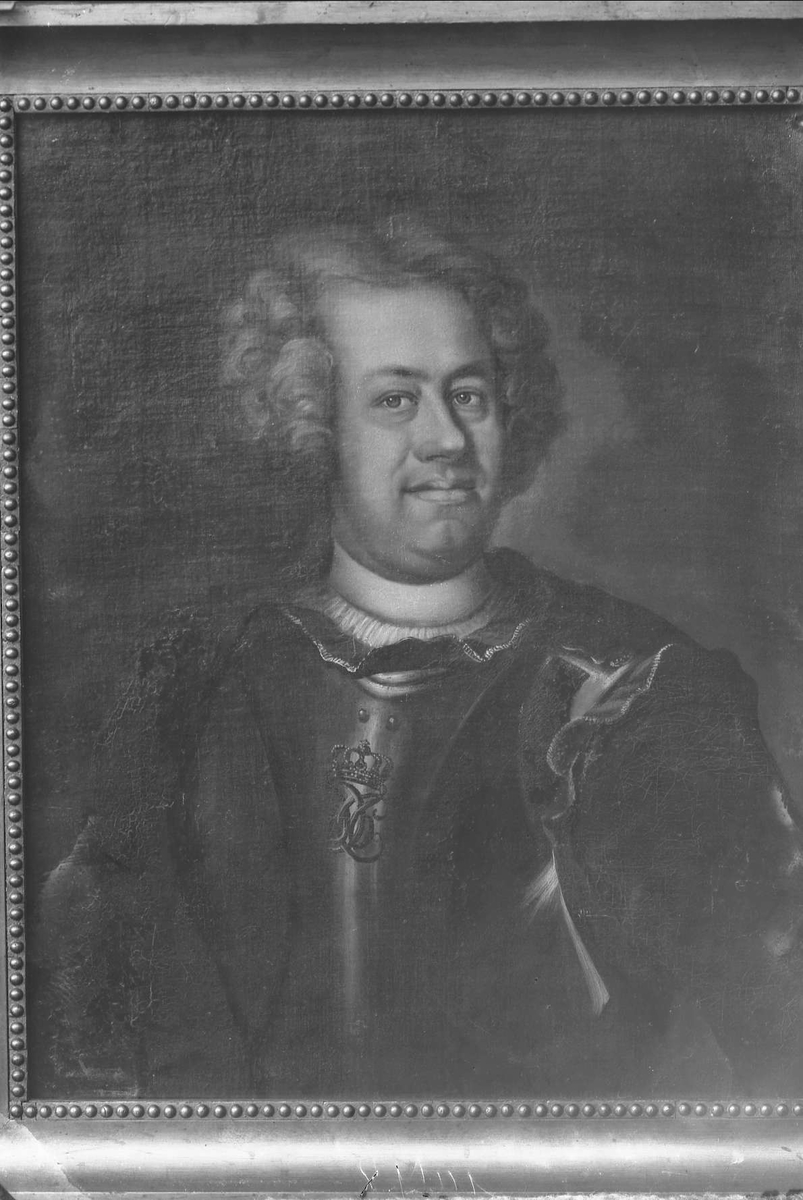 Gustav Borgen, Avfotografering. Maleri.