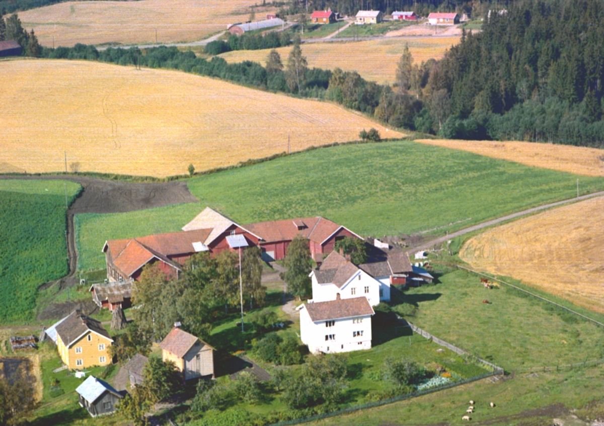 Widerøes Flyveselskap A/S, Flyfoto, Løten. Store Rustad, rett sør for Venskrysset i Løten.