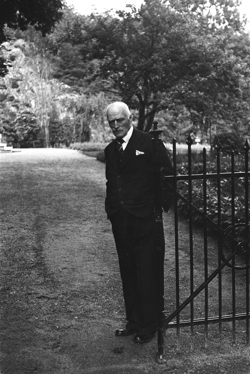 Anders Beer Wilse, Prot: Hamsun Hamsund ved porten