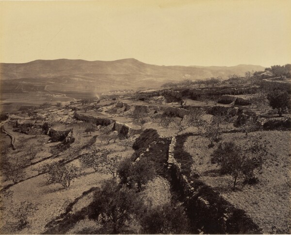 Francis Bedford, Bethlehem - The Shepherds' Field