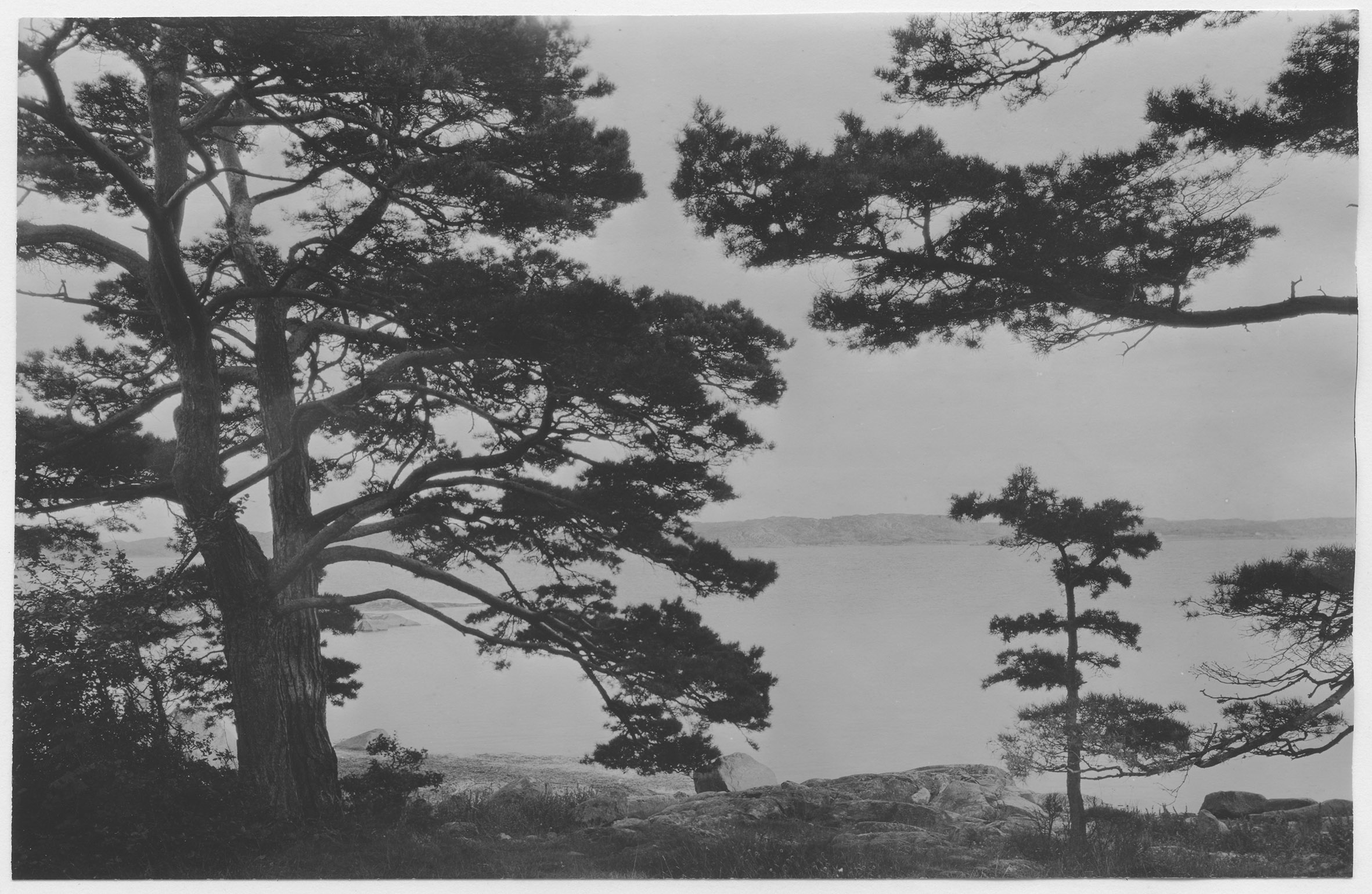 Mårten Sjöbeck, Särö, stränder