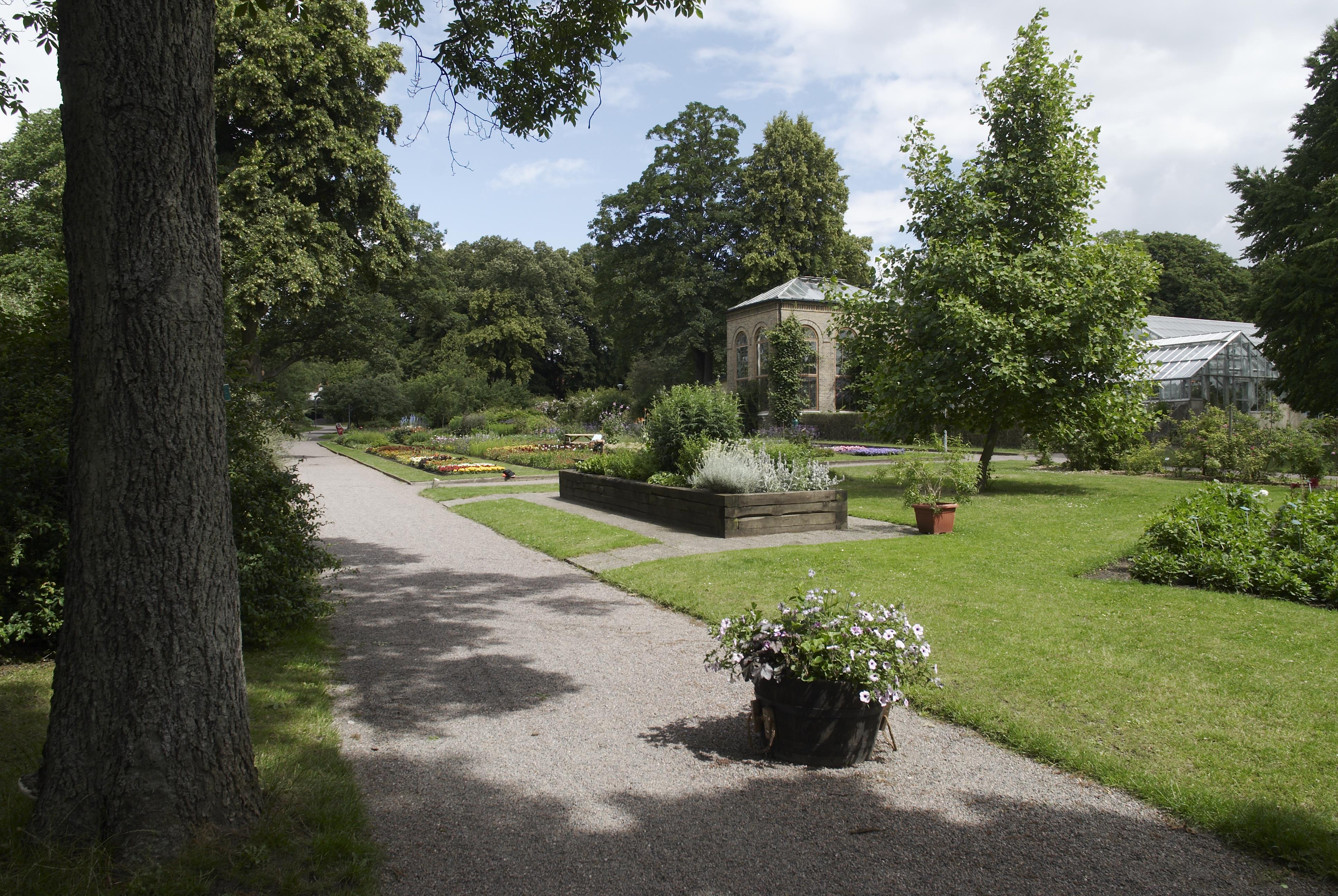 Bengt A Lundberg, Botaniska trädgården i Lund