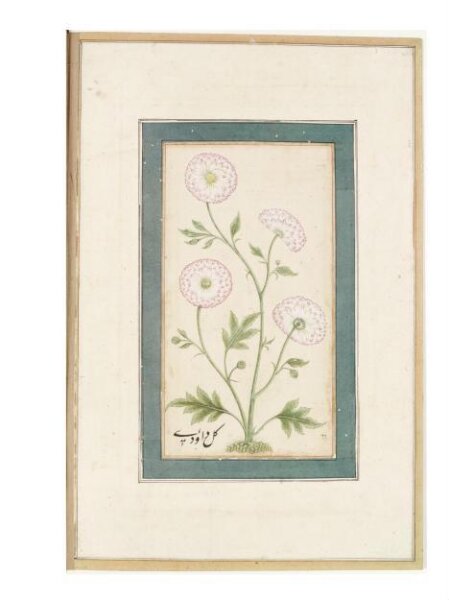 Unknown, Painting