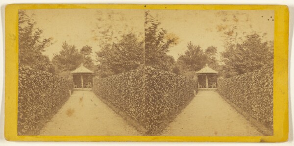 Edward and Henry T. Anthony & Co., Central Park. (New York.) Flirtation Walk near the Reservoir.