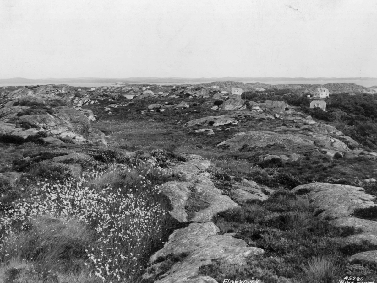 Anders Beer Wilse, Wilse original, Landskap