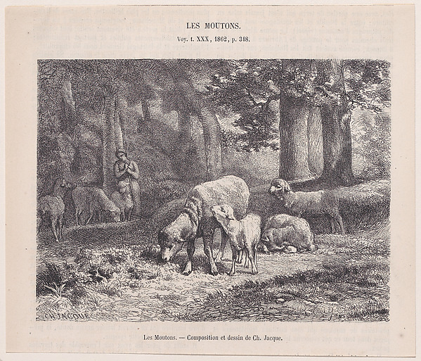 Charles Jacque, Sheep, from "Le Magasin Pittoresque"