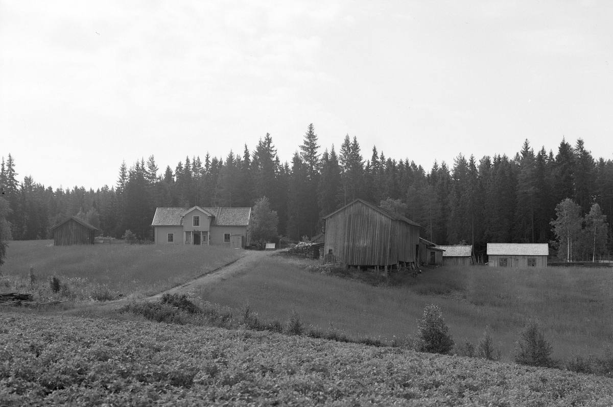 Anno Domkirkeodden, EKSTR: GARDSTUN, SØRLI. Se Løtenboka, bind 3. Bygdeboka fra 1955, side 469