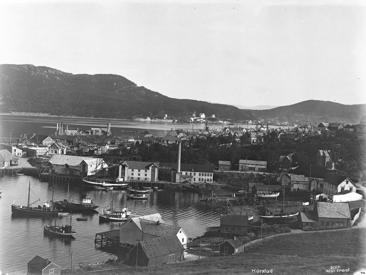 Anders Beer Wilse, Prot: Harstad