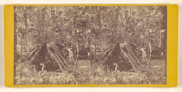 Timothy H. O'Sullivan, [Camp Hut used by the the Officers of the Darien Expedition while in he interior of the Isthmus]