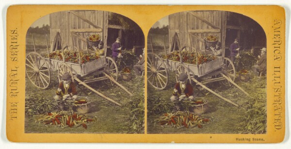 Unknown, Husking Scene.
