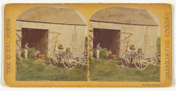 Unknown, Husking Scene.