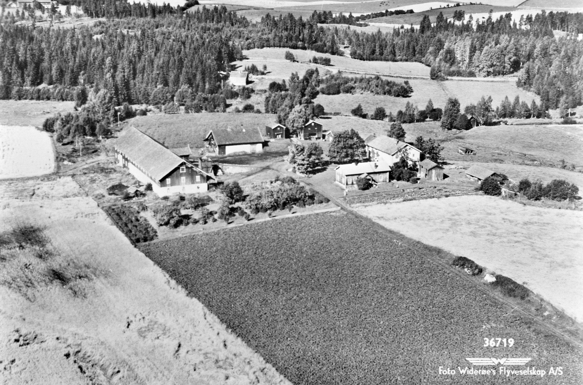 Widerøes Flyveselskap A/S, POSTKORT. FLYFOTO: OVERSIKT SKØIEN GÅRD, GARDSBRUK, LØTEN