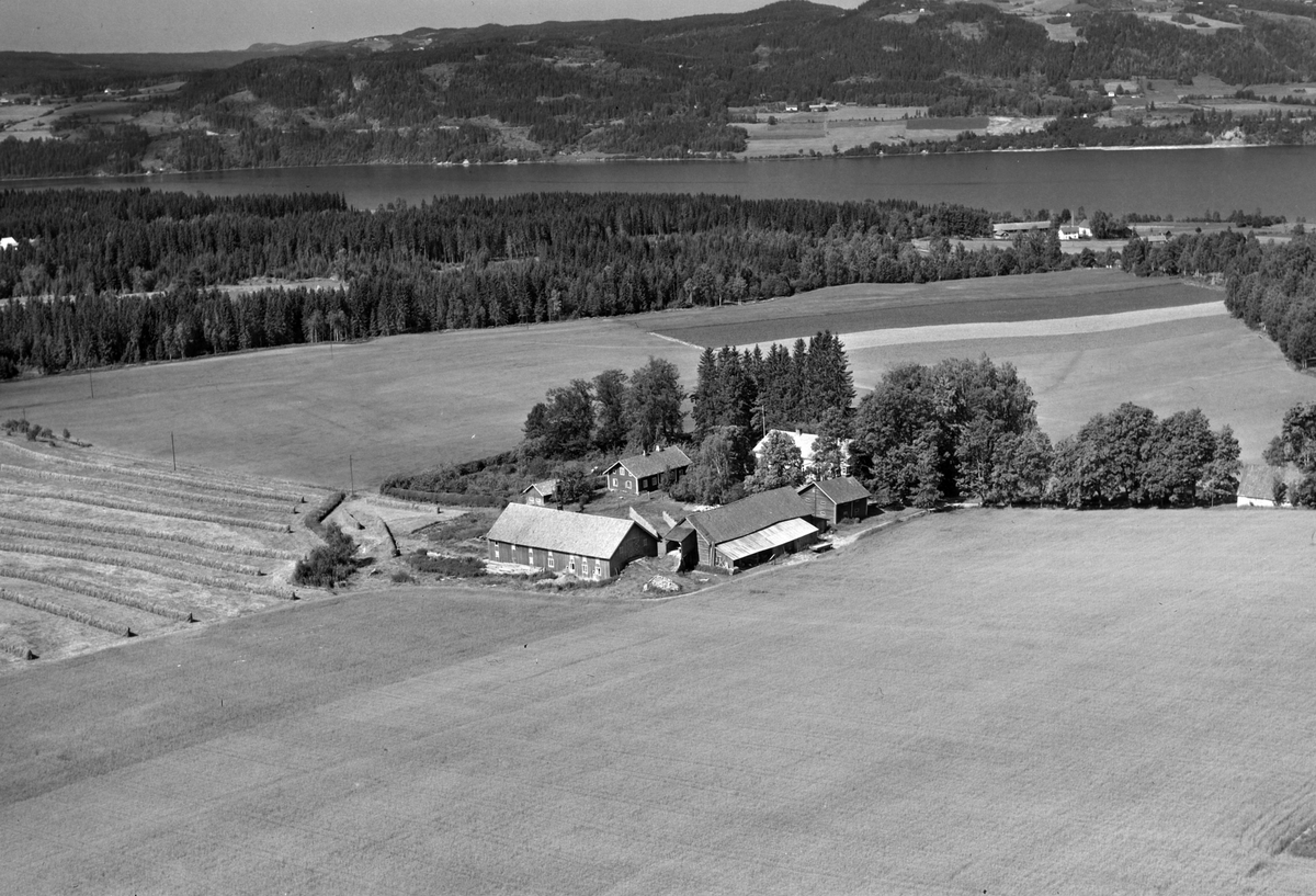 Widerøes Flyveselskap A/S, Flyfoto av Dalby gard, Gaupen. Ringsaker. Utsikt mot Mjøsa og Redalen.