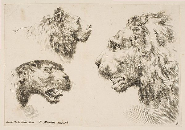 Stefano della Bella, Heads of Three Lions