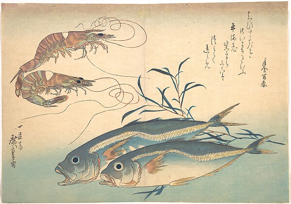 Utagawa Hiroshige, Aji Fish and Kuruma-ebi, from the series Uozukushi (Every Variety of Fish)
