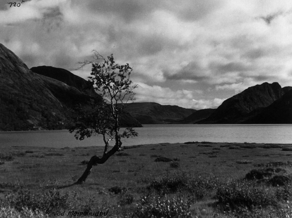 Anders Beer Wilse, Jotunheimen, Memerubu, Landskap