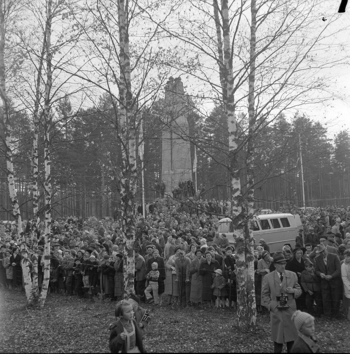 Adolf Skjegstad, ASK-04607